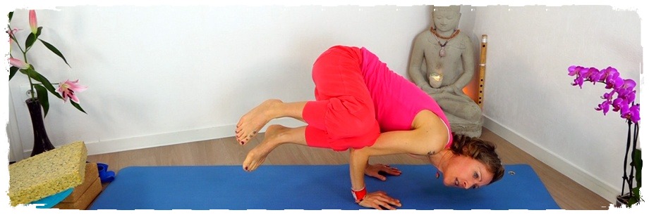 Yin Yoga Ausbildung Online