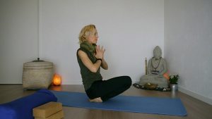 Yin Yoga Onlinetraining