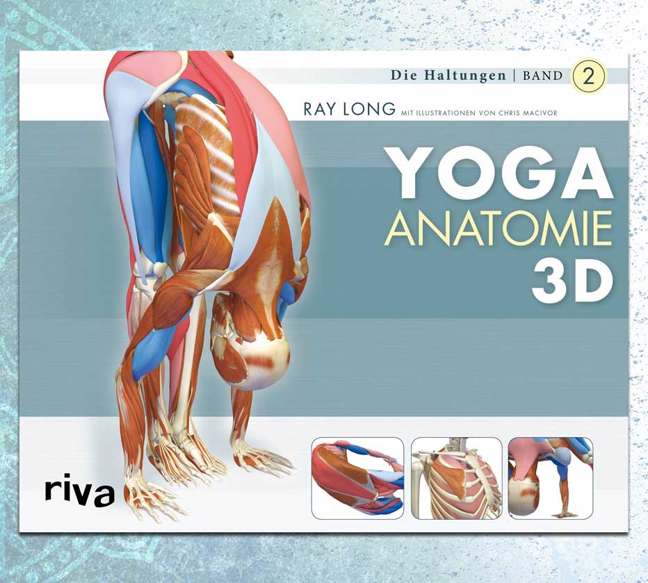 Yoga Anatomie Buch 3D