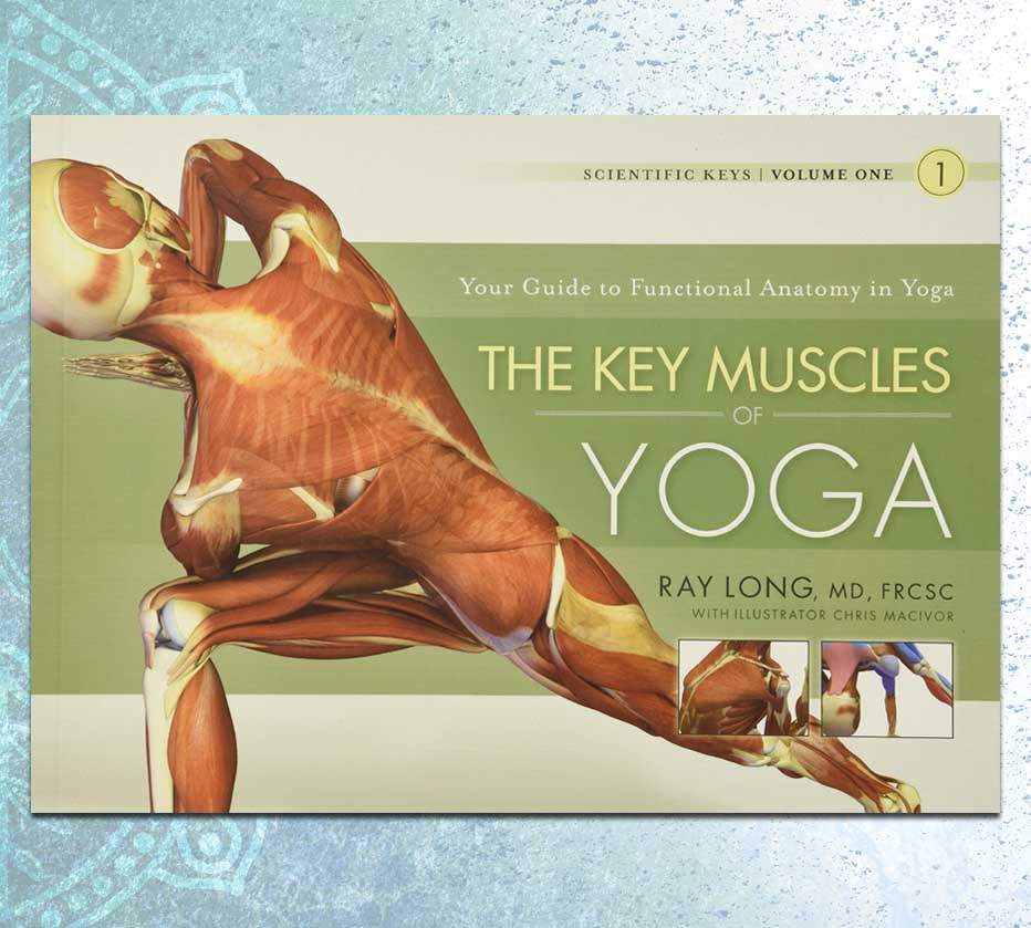 Yoga Buch Anatomie