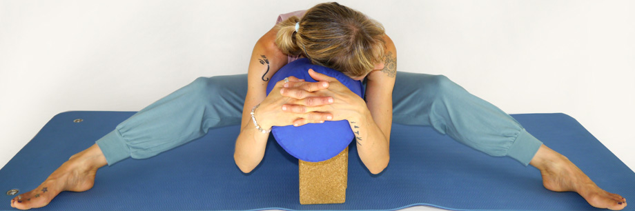 Yin Yoga Online Training für Yogalehrer