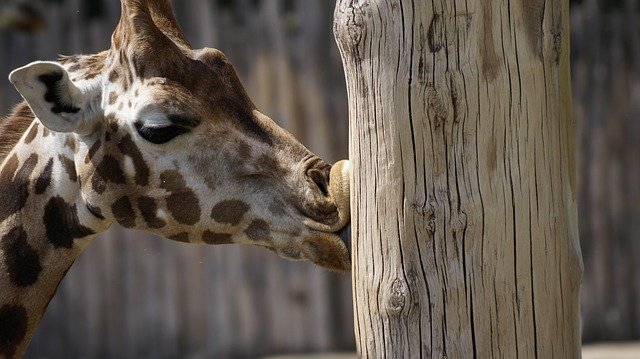 Zoo Leipzig